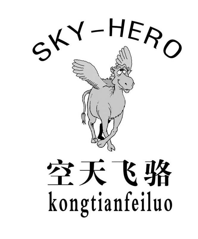 空天飞骆 SKYHERO