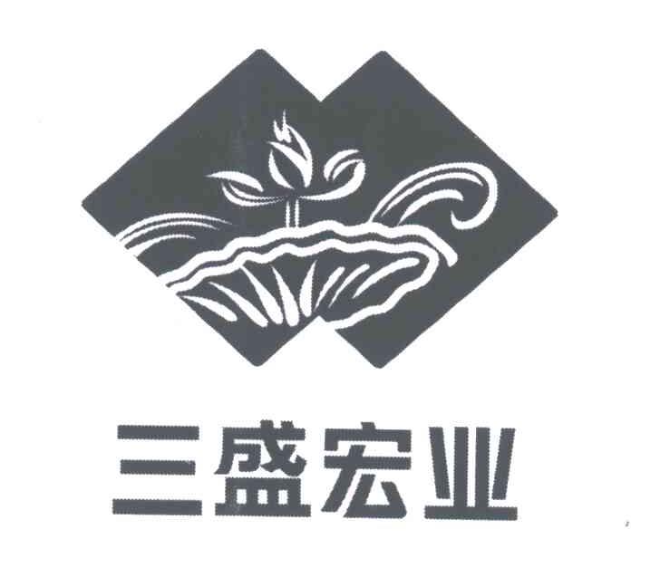 三盛宏业