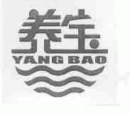 养宝