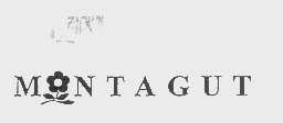 MONTAGUT