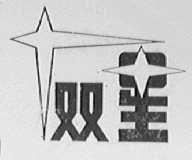 双星