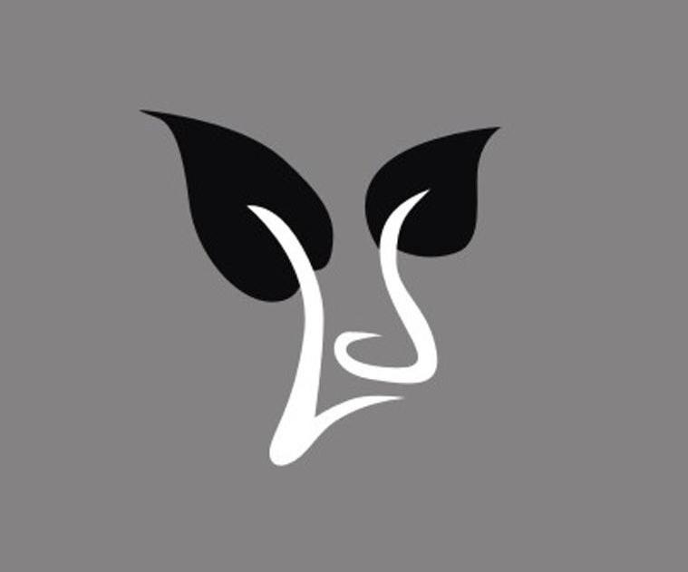 LS