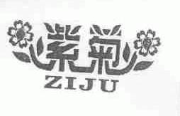 紫菊