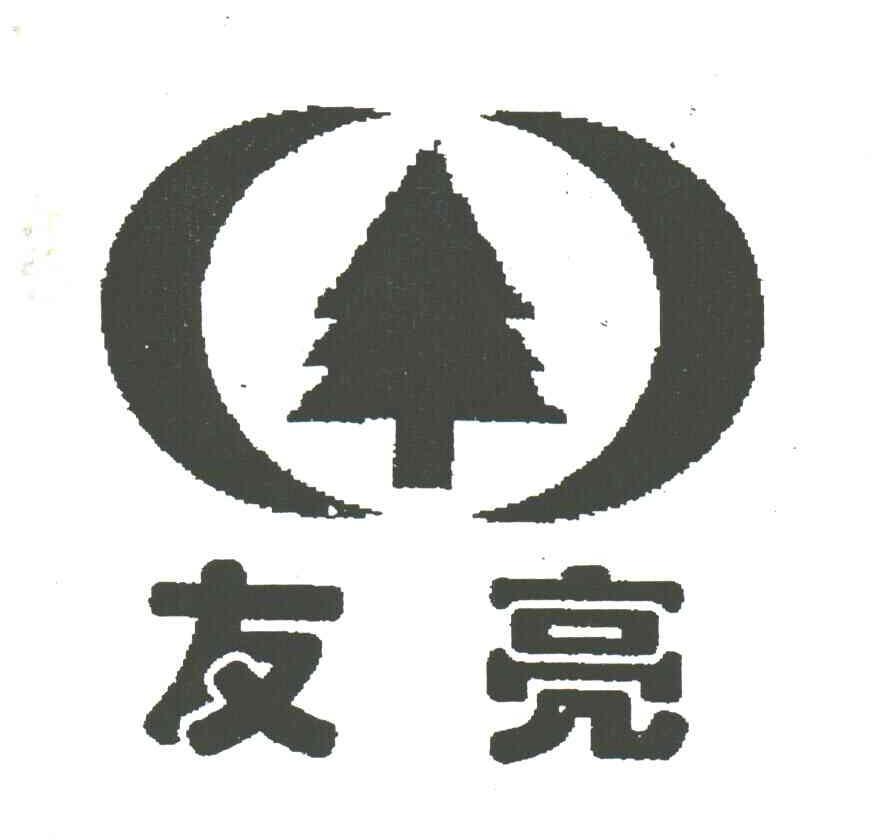 友亮及图形