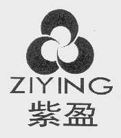 紫盈