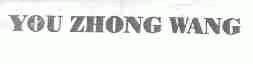 YOU ZHONG WANG