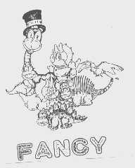 FANCY