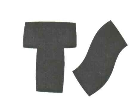 TS