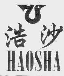 浩沙