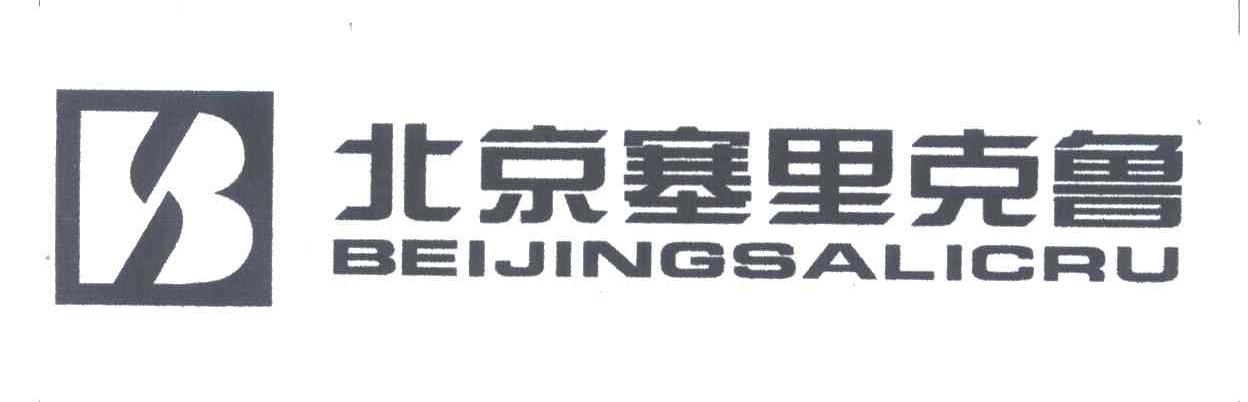 北京塞里克鲁;SALICRUBEIJING;B