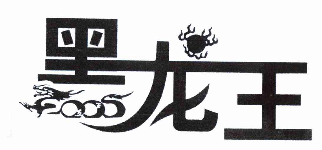 黑龙王