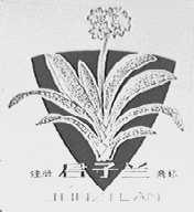 君子兰
