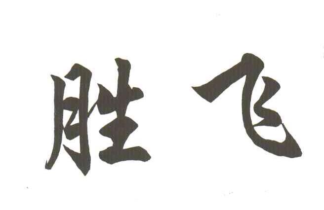 胜飞