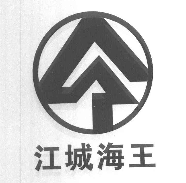 江城海王