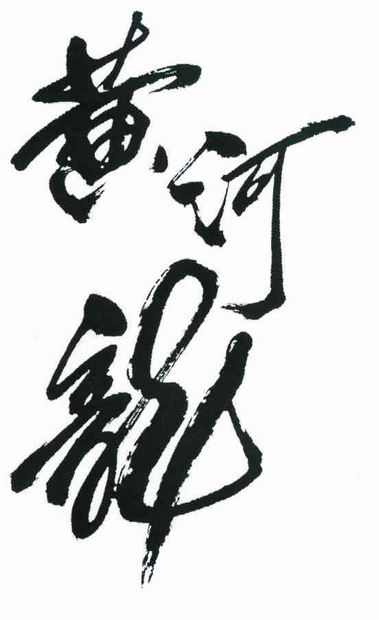 黄河龙