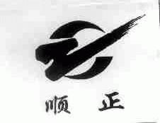 顺正