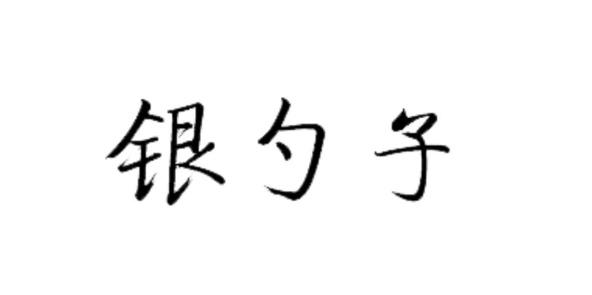 银勺子