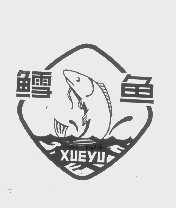 鳕鱼