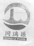洞漓源