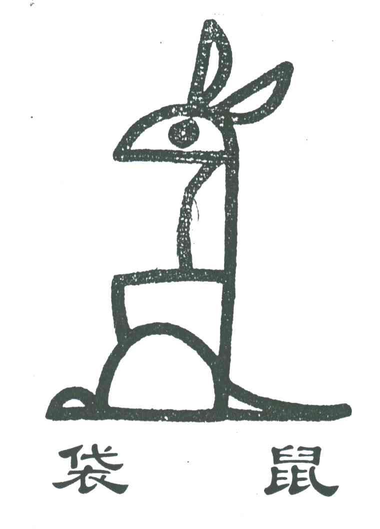 袋鼠