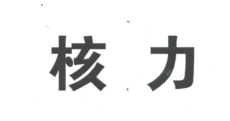 核力