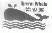 抹香鲸;SPERM WHALE