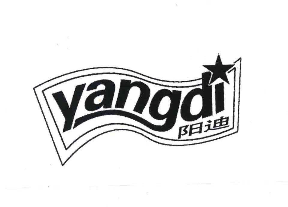 阳迪;YANG DI