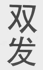 双发