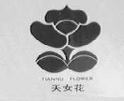天女花