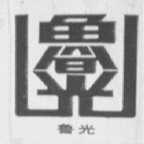 鲁光