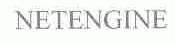 NETENGINE