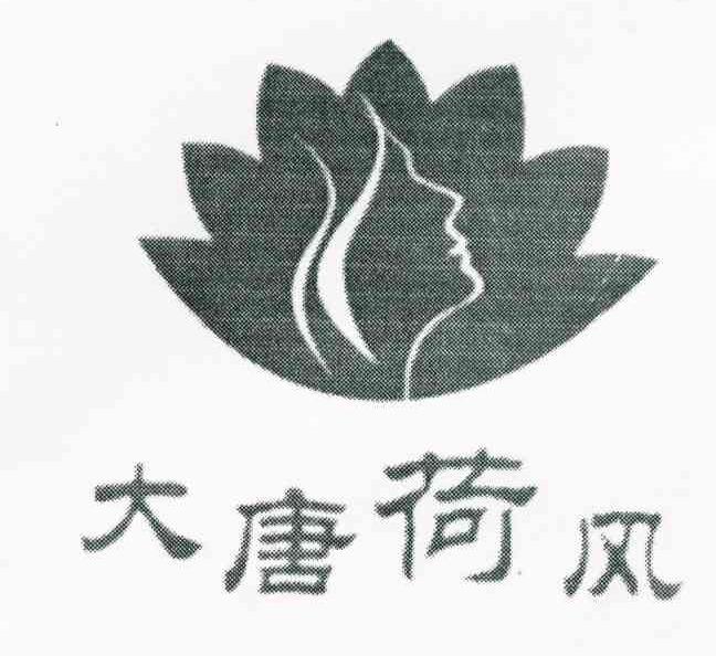 大唐荷风