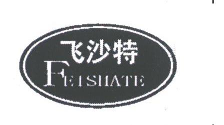 飞沙特