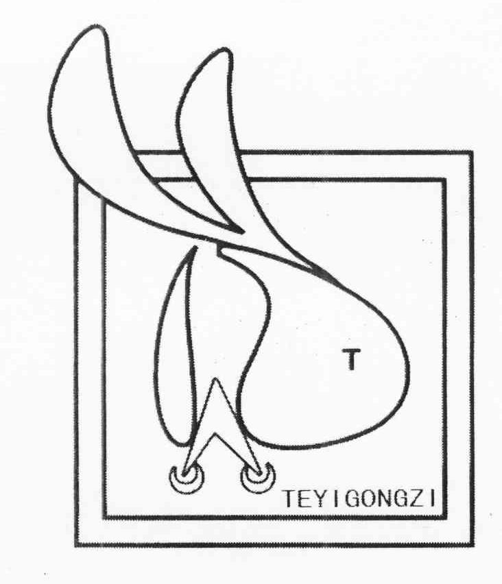TEYIGONGZI