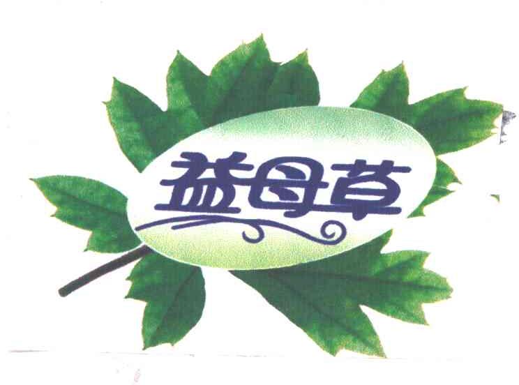 益母草