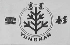 云杉