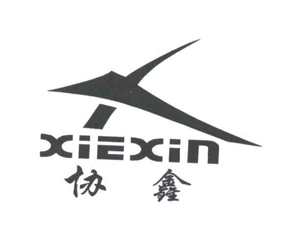 协鑫;XIE XIN