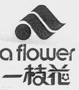 一枝花;AFLOWER