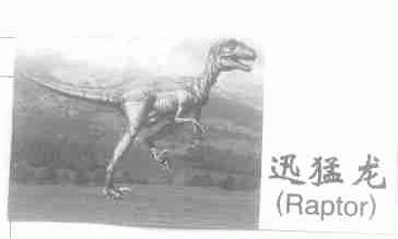 迅猛龙;RAPTOR
