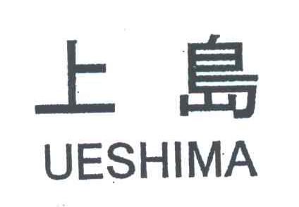 上岛;UESHIMA