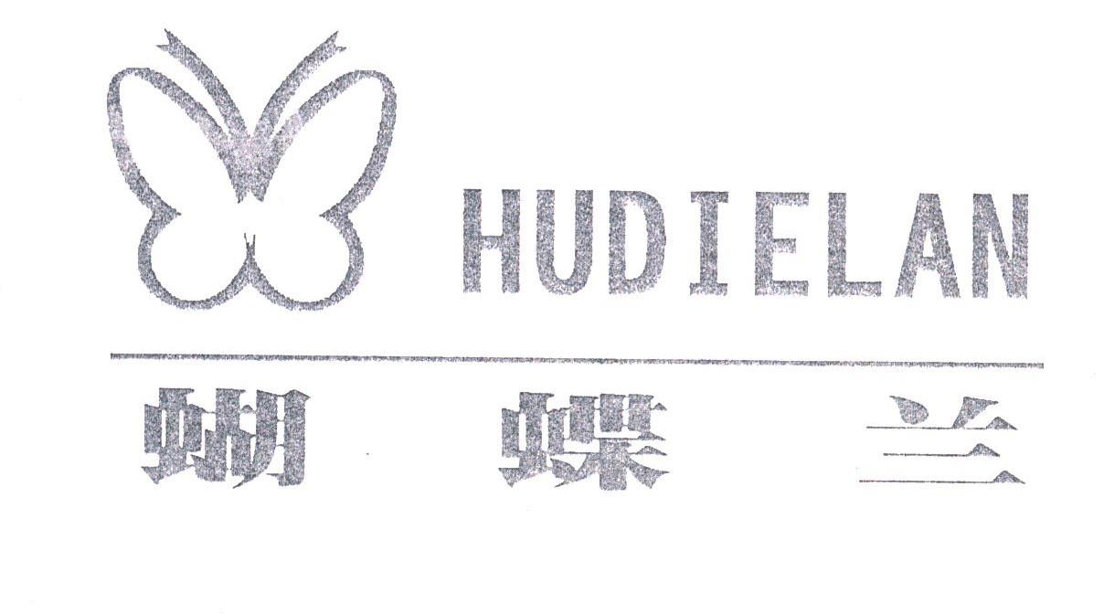 蝴蝶兰