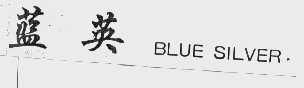 蓝英   BLUE SILVER