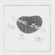 相思树   LOVE TREE