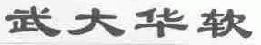 武大华软
