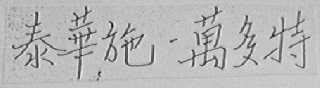 泰华施万多特