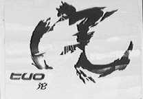 沱