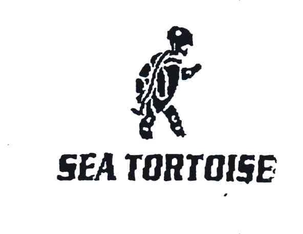 SEA TORTOISE