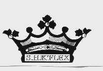 S.H.KFLEX