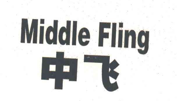 中飞