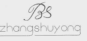 ZHANGSHUYONG